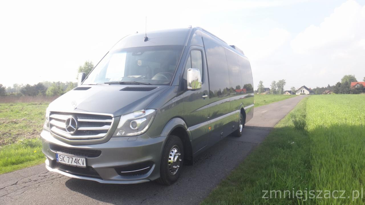 Szary Mercedes Sprinter, widok z przodu, zaparkowany na asfaltowej drodze obok zielonego pola, tablica rejestracyjna SK 774KV.