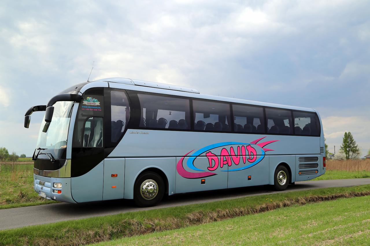 Autokar turystyczny MAN Lion's Coach w jasnoniebieskim kolorze z dużym, różowo-błękitnym napisem 'DAVID' na boku, zaparkowany na poboczu drogi.