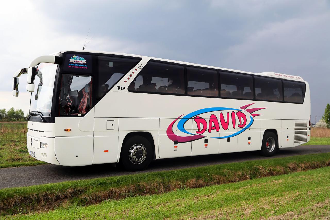 Biały autokar VIP firmy David z kolorowym logo na tle zieleni i pochmurnego nieba.