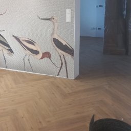 Tomasz Kolodziejczyk - Ułożona podłoga z paneli w jodełkę, na ścianie tapeta z motywem ptaków, w tle widoczne meble zabezpieczone folią