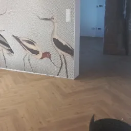 Ułożona podłoga z paneli w jodełkę, na ścianie tapeta z motywem ptaków, w tle widoczne meble zabezpieczone folią