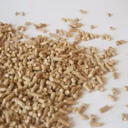 Jasne, cylindryczne bryłki pelletu rozsypane na białym tle, z widoczną strukturą włókien drzewnych.