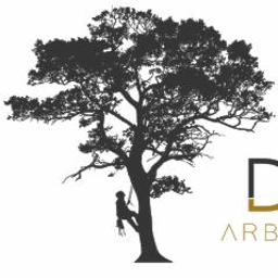 Bodio Drwal Arborystyka - Nasadzanie Drzew Tomaszów Mazowiecki