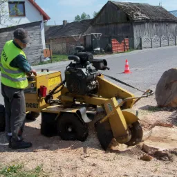 frezowanie pni Vermeer SC 252