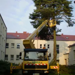 Podnośnik koszowy wysokość robocza 26 m