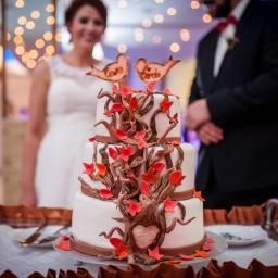 Enjoy your weddding- kompleksowa organizacja ślubów i przyjęć weselnych Białystok 2