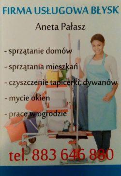 Reklama firmy sprzątającej 'Błysk' z Anetą Pałasz, prezentująca wózek z mopem, wiadrami i środkami czystości, oferująca sprzątanie domów, mieszkań, czyszczenie tapicerki, mycie okien i prace...