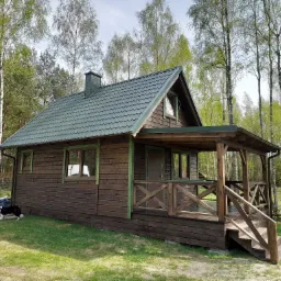 Gotowy, ciemnobrązowy dom z bali z zielonym dachem i werandą, na tle brzozowego lasu, z psem rasy border collie na trawniku.