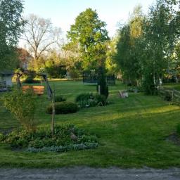 Oskar - Usługi w ogrodzie Malbork