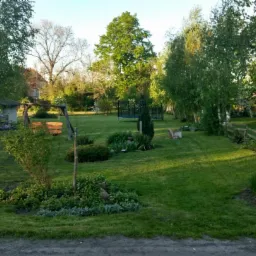 Zadbany ogród z równo skoszoną trawą, młodymi drzewkami podpartymi palikami, huśtawką i trampoliną w tle, otoczony drewnianym płotem.