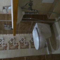 Glazurnik Weremowic 3