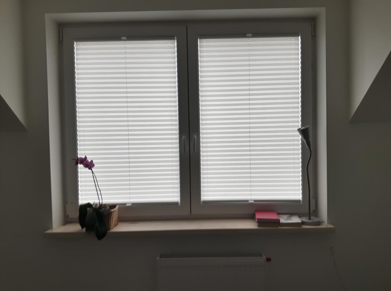Dwuokienne okno z białymi plisami, na parapecie storczyk w koszyku, lampka i książki, widok z wnętrza pokoju.