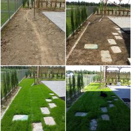 Solserwis - Realizacja założeń deweloperskich