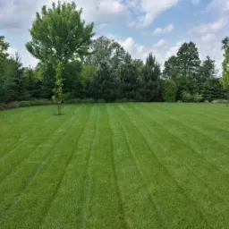 Koszenie trawy powyżej 1000m2