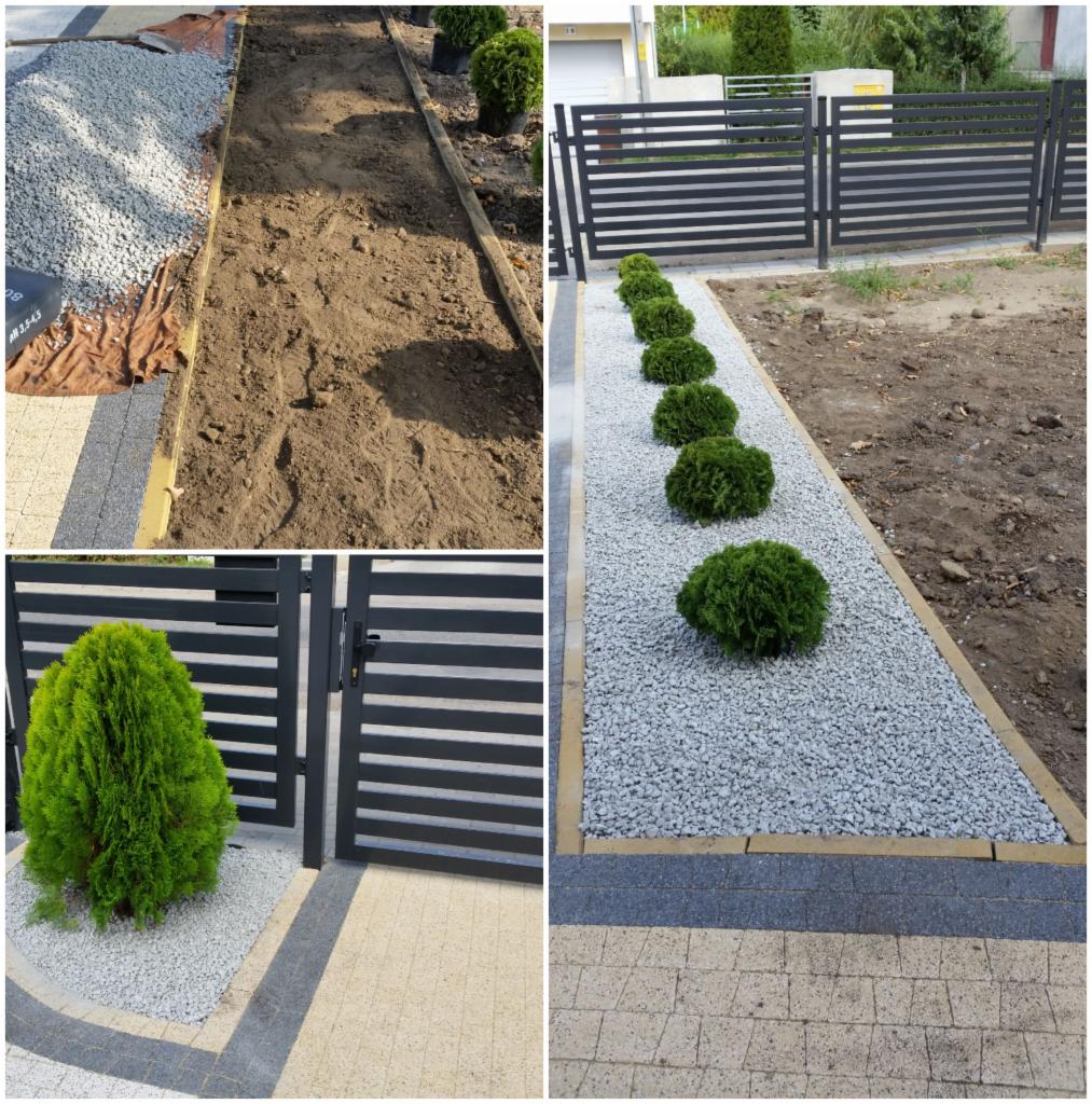 Kompozycja trzech ujęć: przygotowanie gruntu pod nasadzenia, wysypywanie żwiru, rząd świeżo posadzonych, kulistych krzewów przy nowoczesnym, metalowym ogrodzeniu.