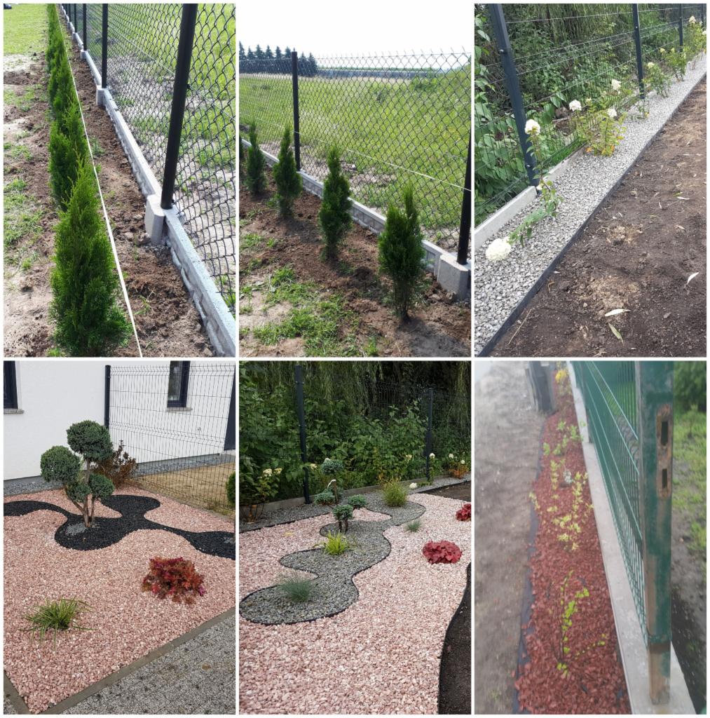 Nasadzenia żywopłotów