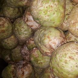 Warzywa herkenbosch  2