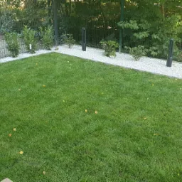 Zadbany trawnik z rolki w Warszawie, obrzeża wysypane białym kamieniem, widoczne nasadzenia krzewów i lampy ogrodowe wzdłuż ogrodzenia.