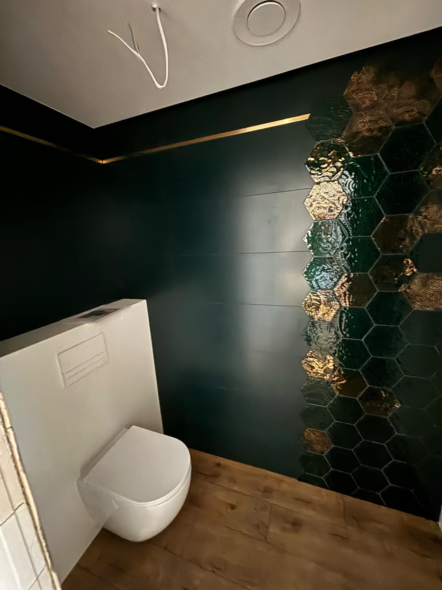 Wykończona łazienka z ciemnozielonymi ścianami, złotym paskiem dekoracyjnym i heksagonalnymi płytkami z efektem 3D, drewnopodobna podłoga i podwieszana toaleta.