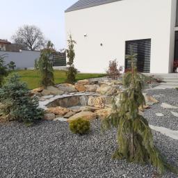 Projektowanie ogrodów skalnych. Na tym zdjęciu ognisko skalne wykonane w jednym z naszych ogrodów. Ogród ten został przez firmę BioArt zaprojektowany i wykonany w 2019 roku pod Lublinem.
