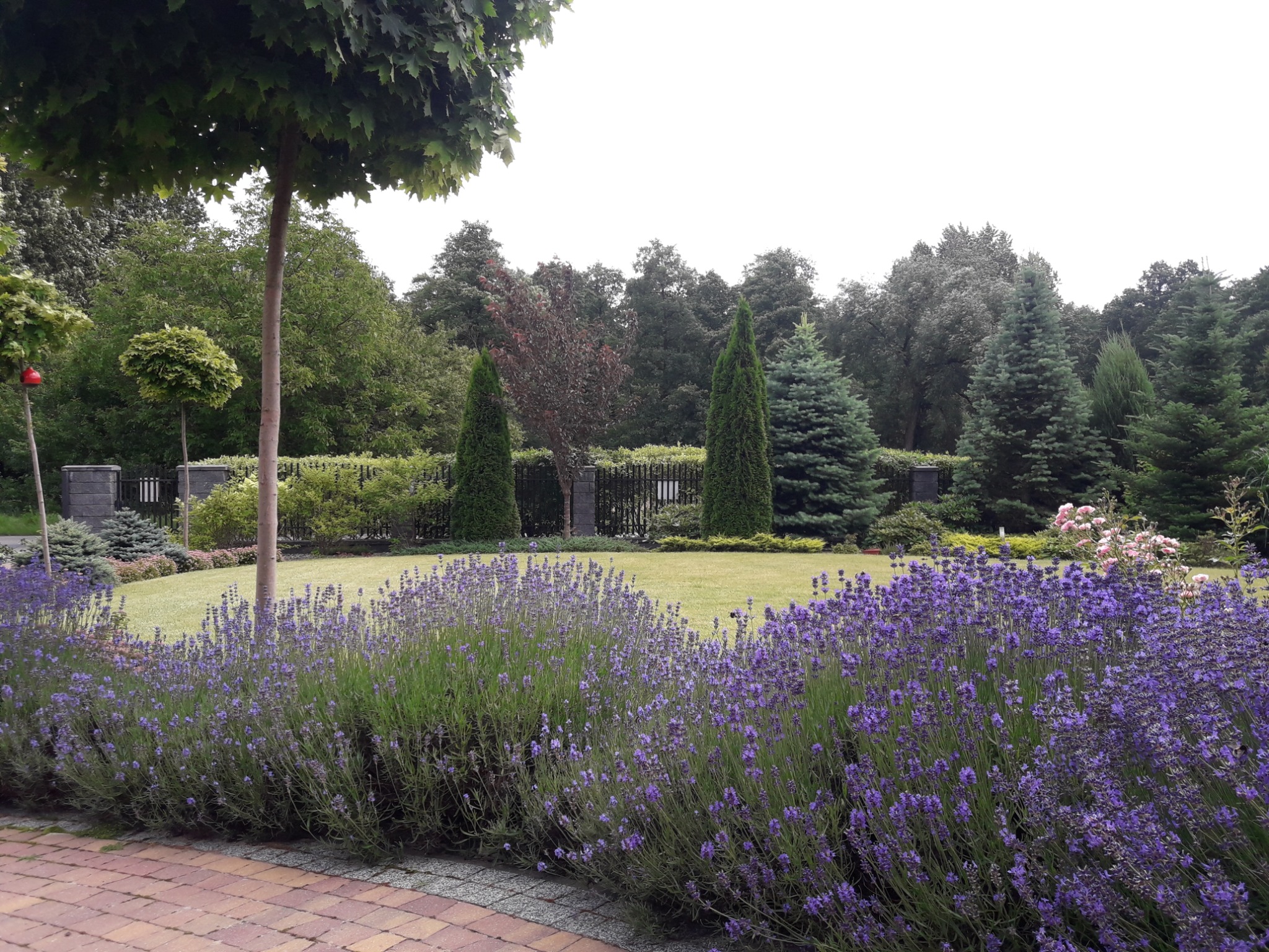 Jeden z wielu ogrodów pielegnowanych przez firmę BioArt w Lublinie i okolicach.