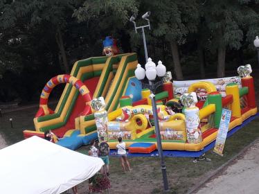Radocha Dmuchańce Raciszyn - Transport ciężarowy krajowy Działoszyn