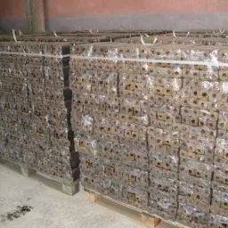 sprzedam brykiet drzewny