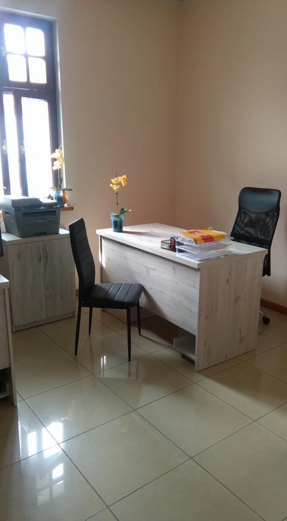 Jasne biuro z biurkiem, dwoma krzesłami, drukarką i żółtą orchideą w doniczce przy oknie.