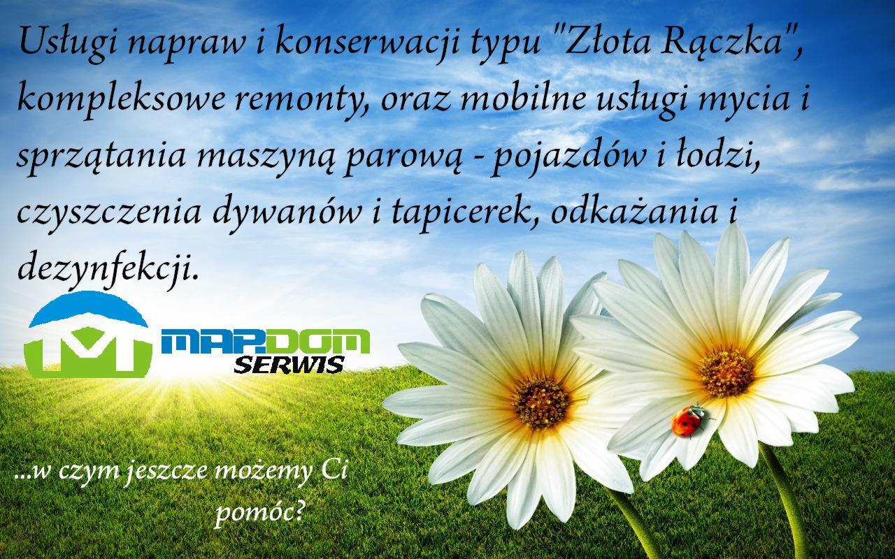 Ilustracja reklamowa usług naprawczych i konserwacyjnych typu 'Złota Rączka', remontów, mycia parowego pojazdów i łodzi, czyszczenia dywanów i tapicerek, odkażania i dezynfekcji, z logo firmy...