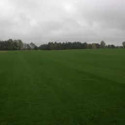 Rozległy trawnik z równo przystrzyżoną trawą w pasy, drzewa w tle pod pochmurnym niebem.