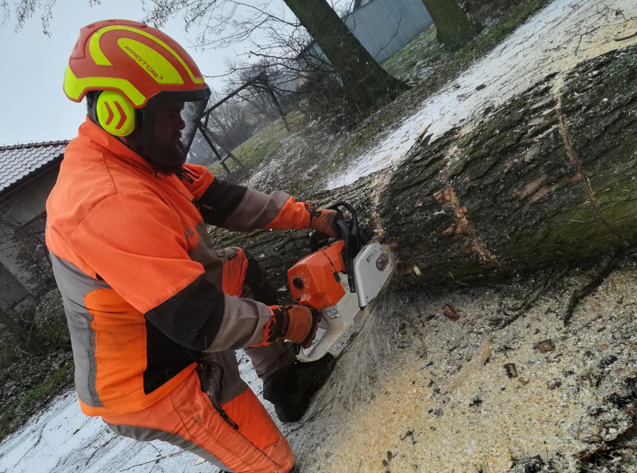 Mężczyzna w pomarańczowym kombinezonie i kasku ochronnym tnie piłą spalinową powalone drzewo, w tle widoczny dom i drzewa.