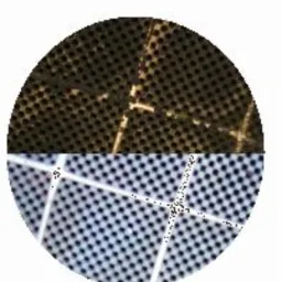 Zbliżenie na powierzchnię z drobnymi otworami, podzieloną na dwie części: górna jest ciemniejsza, brązowawa i zabrudzona, dolna jest jaśniejsza, szara i czysta. Widoczne linie tworzące kwadraty.