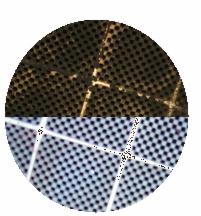 Zbliżenie na powierzchnię z drobnymi otworami, podzieloną na dwie części: górna jest ciemniejsza, brązowawa i zabrudzona, dolna jest jaśniejsza, szara i czysta. Widoczne linie tworzące kwadraty.