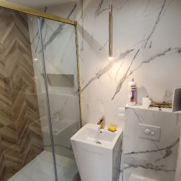 Glazurnik Cegłów 2