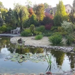 Oczko wodne z liliami wodnymi otoczone kamieniami i roślinnością ozdobną, w tle zadbany ogród z drzewami i krzewami, widoczne krzesła ogrodowe na drewnianym podeście.