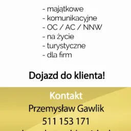 Grafika reklamowa firmy Golden Risk, oferującej profesjonalne doradztwo ubezpieczeniowe, z listą dostępnych ubezpieczeń: majątkowych, komunikacyjnych, OC/AC/NNW, na życie, turystycznych i dla firm,...