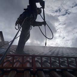 Skuteczne usuwanie osadów, glonów i nalotów biologicznych z pokrycia dachowego metodą ciśnieniową.