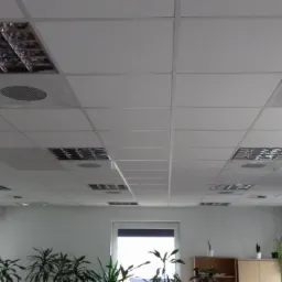 Sufit podwieszany z kratkami wentylacyjnymi i okrągłymi dyfuzorami w biurze w Dębicy, widok z dołu, z oknami i roślinami w tle.