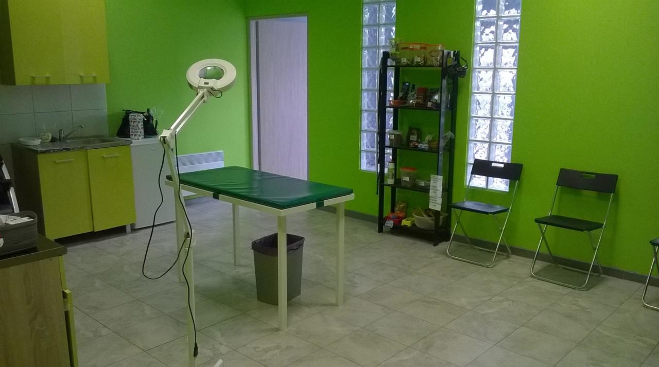 Wnętrze gabinetu z zielonymi ścianami, wyposażonego w stół z zielonym blatem, lampę powiększającą, szafki kuchenne, regał z produktami i krzesła.