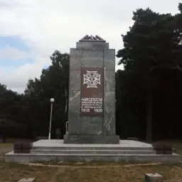 Pomnik z szarego kamienia poświęcony harcerzom Wielkopolskim poległym w latach 1918-1920, z krzyżem harcerskim w centrum, otoczony zielenią drzew i kostką brukową.