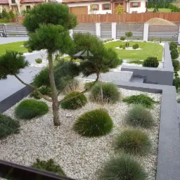 Nowoczesny ogród z ozdobnymi trawami i białym żwirem, widok z okna na starannie zaprojektowaną przestrzeń przed domem z oryginalnie formowanym drzewem i geometrycznymi rabatami.