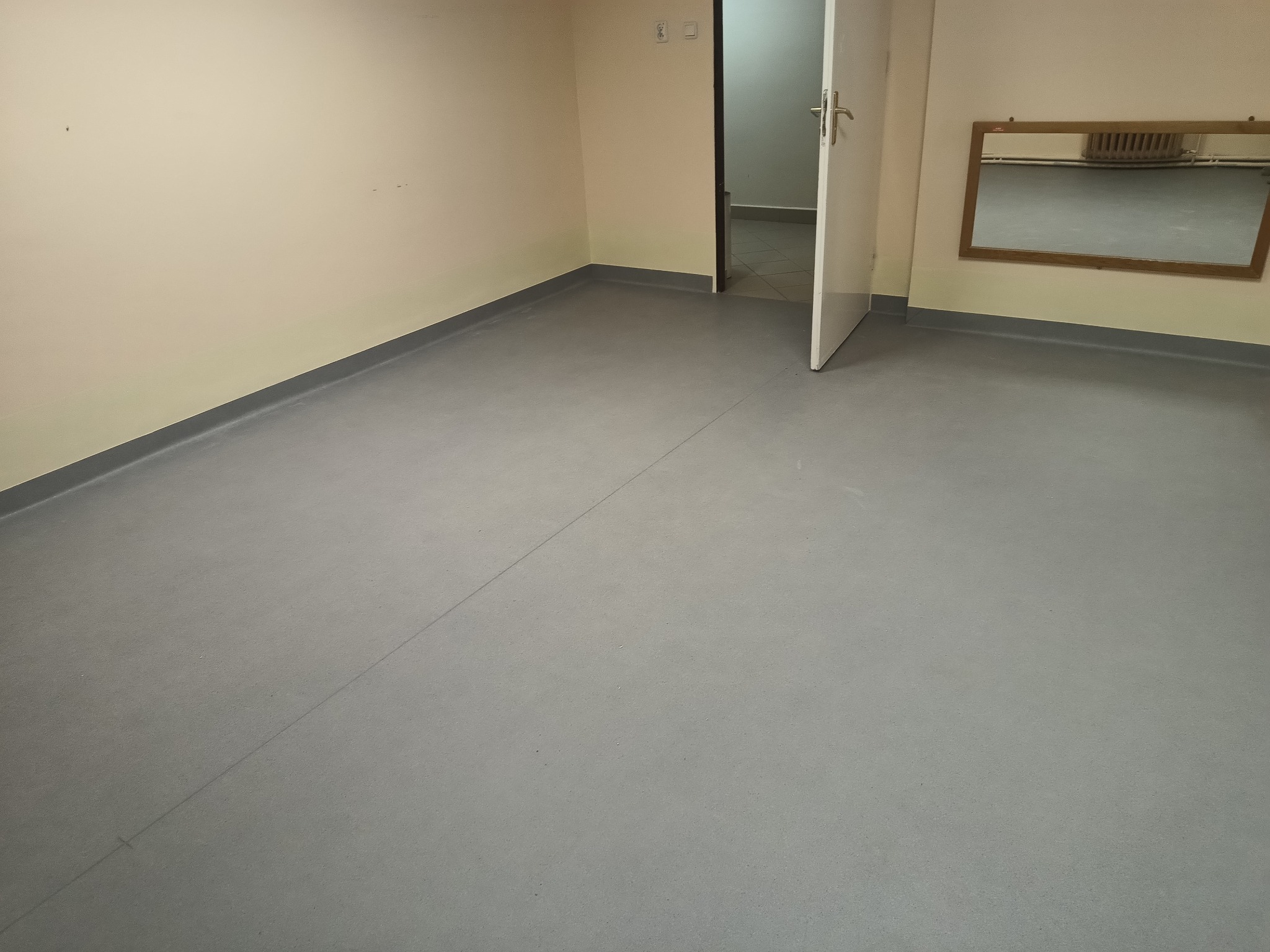 Szare, jednolite pokrycie podłogowe z listwami przypodłogowymi w pustym pomieszczeniu z otwartymi drzwiami i lustrem na ścianie.