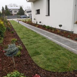 Ogrody Patryk Obrębski - Świeżo założony trawnik z rolki przylegający do ścieżki z kostki brukowej i rabat z korą wzdłuż nowoczesnego domu.