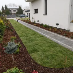 Świeżo założony trawnik z rolki przylegający do ścieżki z kostki brukowej i rabat z korą wzdłuż nowoczesnego domu.