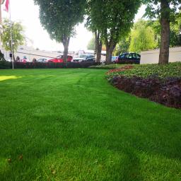 Ogrody Patryk Obrębski - Perfekcyjnie utrzymany trawnik przed budynkiem z flagą, ozdobiony rabatą z krzewów o zielonych i bordowych liściach, w tle zaparkowane samochody.