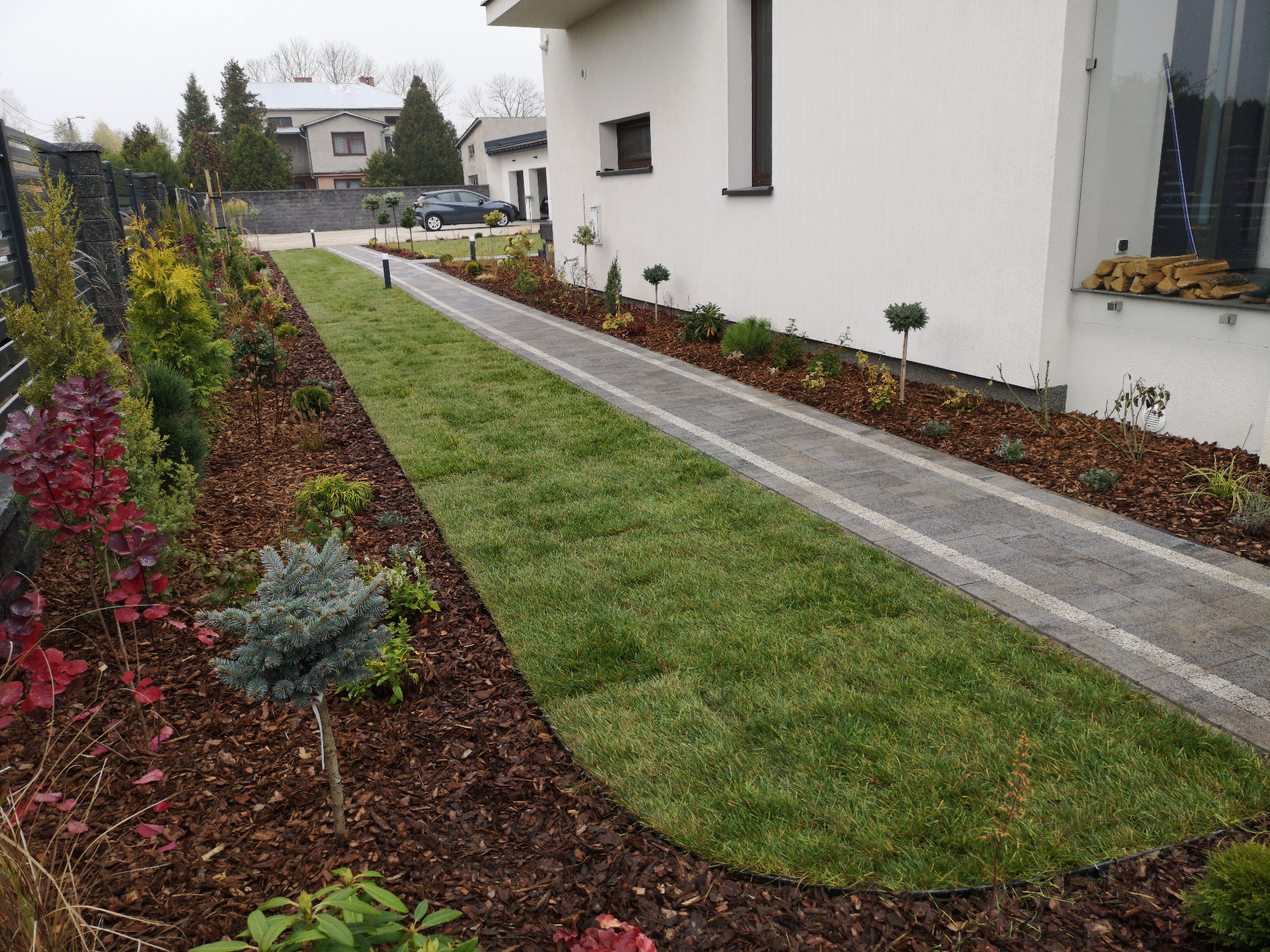 Świeżo założony trawnik z rolki przylegający do ścieżki z kostki brukowej i rabat z korą wzdłuż nowoczesnego domu.