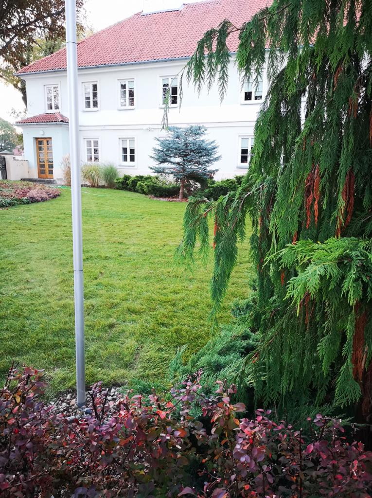 Utrzymany trawnik przed białym budynkiem z czerwoną dachówką, z ozdobnymi krzewami i drzewami iglastymi w różnym wieku.