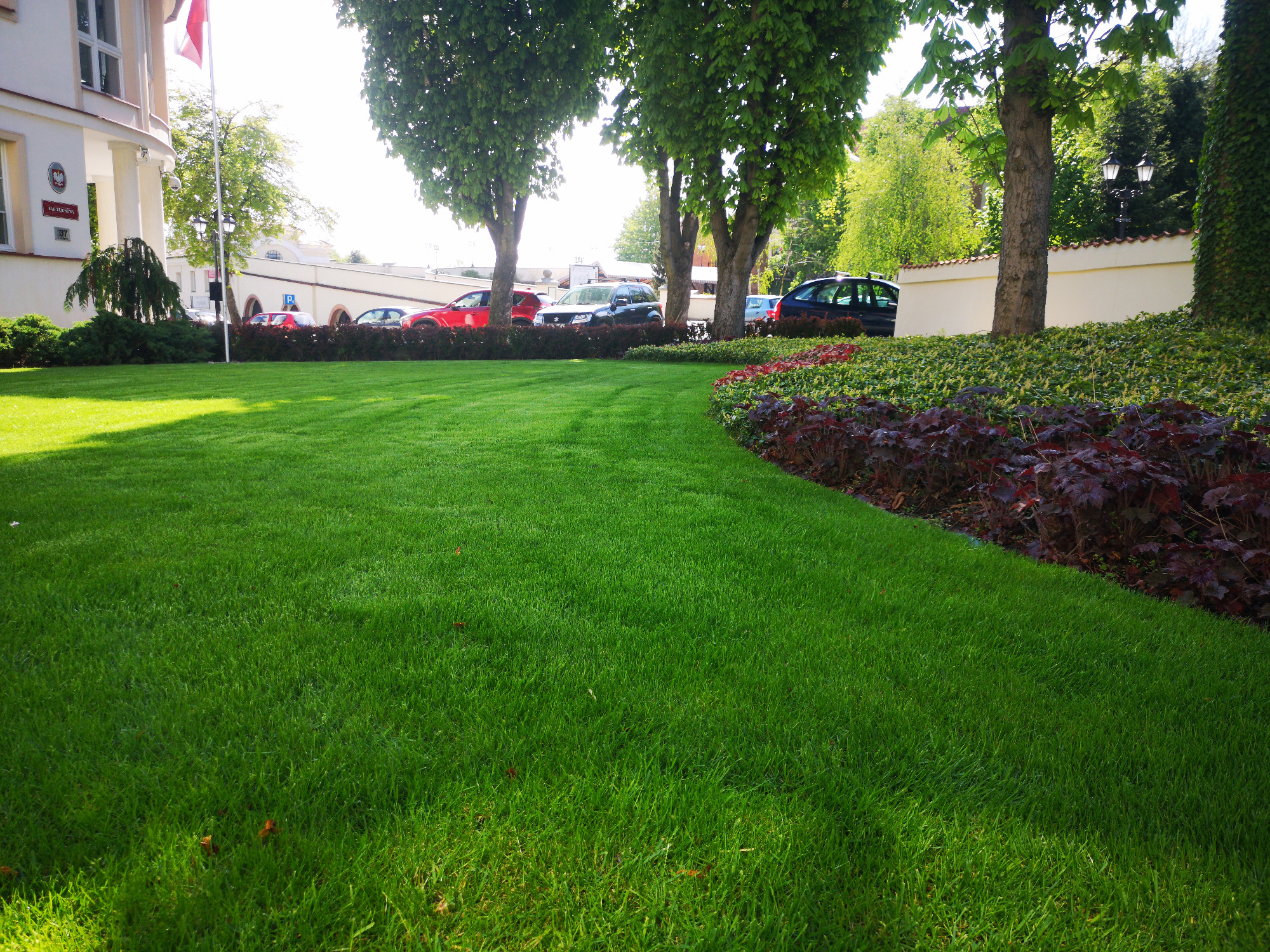 Perfekcyjnie utrzymany trawnik przed budynkiem z flagą, ozdobiony rabatą z krzewów o zielonych i bordowych liściach, w tle zaparkowane samochody.