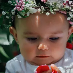 Portret niemowlęcia z wiankiem z białych i różowych kwiatów na głowie, trzymającego w dłoni płatek róży.