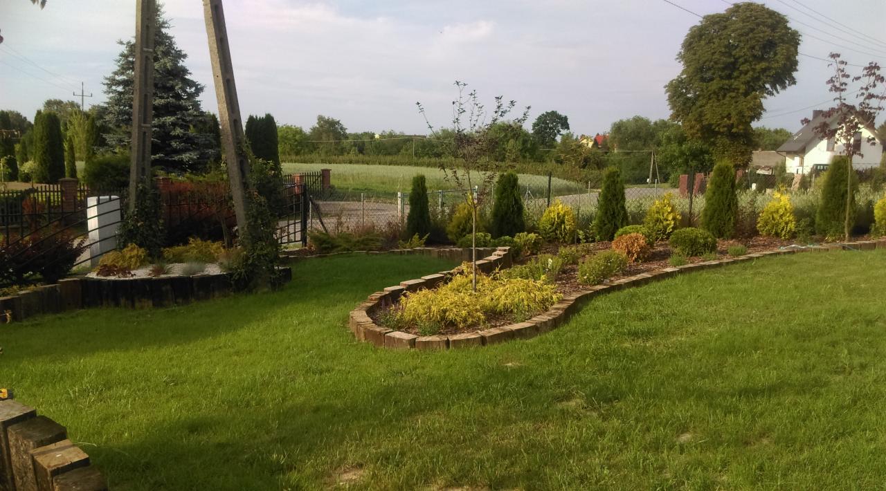 Ujęcie zadbanego ogrodu z równo przystrzyżonym trawnikiem, rabatami obłożonymi drewnianymi krawężnikami i różnorodną roślinnością, w tle widoczne domy i pole.